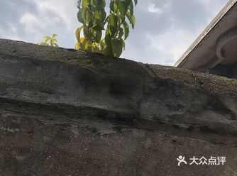 真正的高尚不是单纯的美好