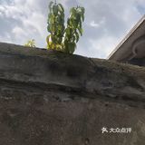 真正的高尚不是单纯的美好