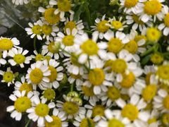 -优衣库(深圳万象天地旗舰店)