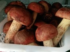 -菌之家·专业纯野生菌火锅·特色炒菌
