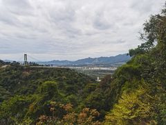 -南丹山森林王国