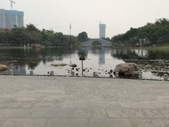 -映月湖公园