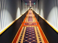 -巴黎迪士尼乐园