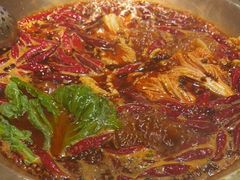 -小龙坎火锅(春熙太古里店)