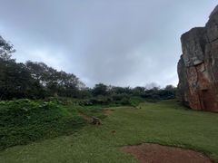 -海南热带野生动植物园