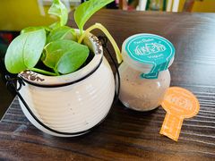 -狐狸家·酸奶酪专门店(平江路店)