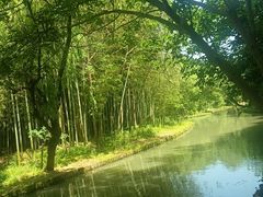 -同里国家湿地公园