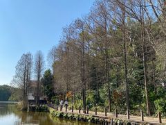 -深圳仙湖植物园