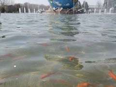 -南通洲际绿博园