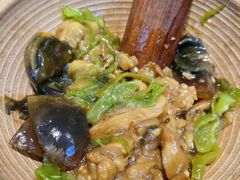 -老板恋上鱼(高新万达店)