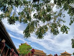 -故宫博物院(故宫)