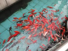 -陕西自然博物馆