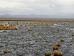 -花湖生态旅游区
