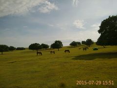 android_upload_pic-五角枫生态旅游景区