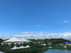 -东方绿舟景区