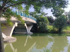-上海长兴岛郊野公园