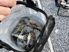 -DGE季风钓虾营地·团建·聚会