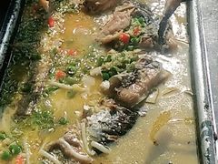 湄公鱼-焰鱼(昌建广场店)