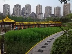 -龙头寺公园