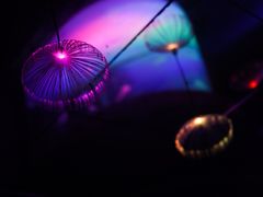 -左海海底世界