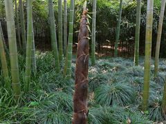 -杭州黄龙洞