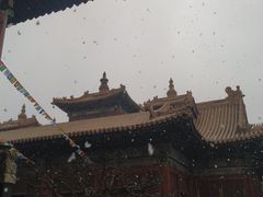 -锅儿挑面馆
