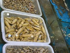 -宝燕壹号(徐汇店)