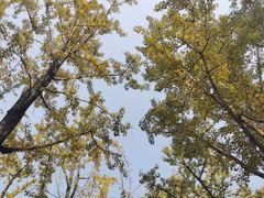 -杭州半山国家森林公园