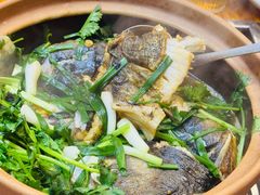 -九道菜有鸡鱼头(石鼓路店)