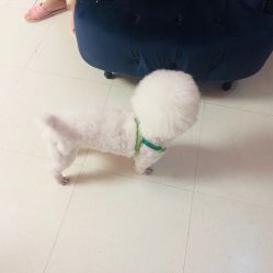 点击看大图 -Pink You美甲美睫纹绣定制中心