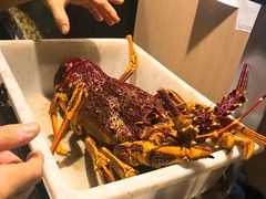 -金唐海鲜酒家