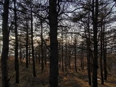 -白草畔自然风景区