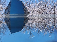 -龙美术馆西岸馆-停车场