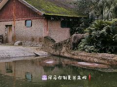 -南昌动物园