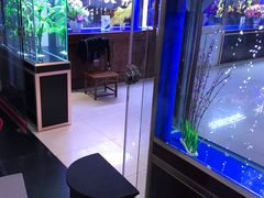 -中环花鸟鱼虫市场