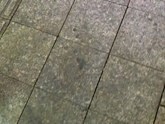 -1点点(晒布店)