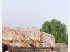 -北京西山国家森林公园