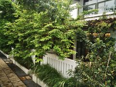 -喜洲吧·江畔老船厂·庭院餐厅(喜临院店)