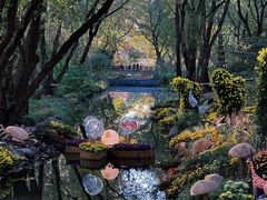 -上海共青森林公园