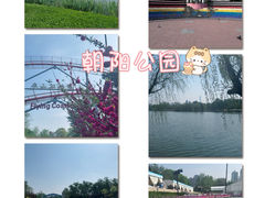 -朝阳公园