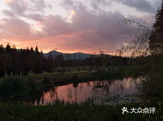 有绿有红，构成彩色树林，就像油画一样，很漂亮