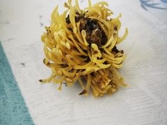-红星码头