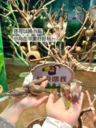 -Zoolung Zoolung动物主题公园(海信广场店)