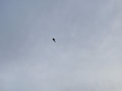 -隐食私房菜(渡口·光荣院南门·老街店)