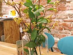 -Dal Cuore 达可芮冰淇淋(陕西北路店)