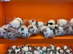 -熊猫邮局(少城店)