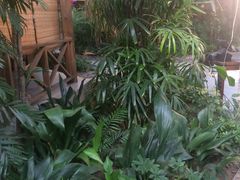 -森谷美食公园(杨行店)