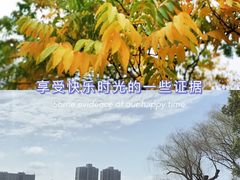 -黄兴公园