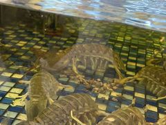 -顺德了能馆(虎门店)