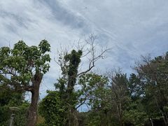 -燕塞湖鸟语林景区